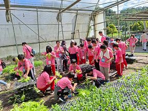 森形神農園區校外教學