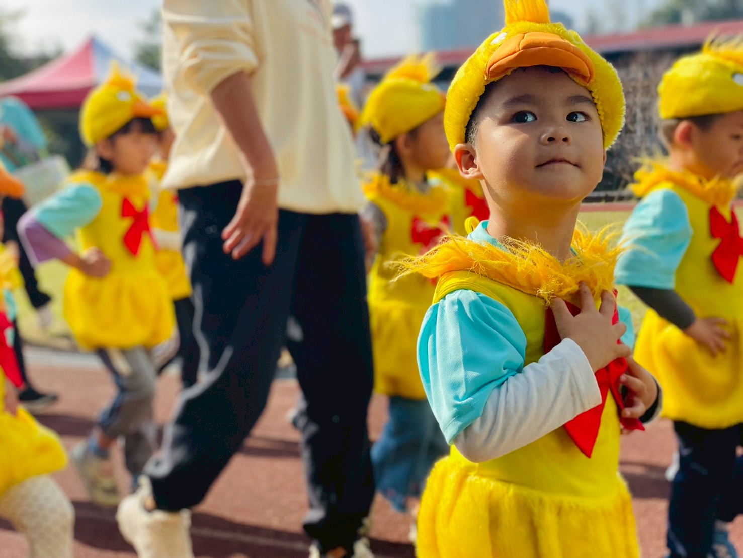 114年潭區聯合運動會